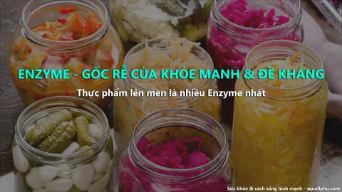 Mấu chốt của Khỏe mạnh, trẻ đẹp, đề kháng tốt là Enzyme