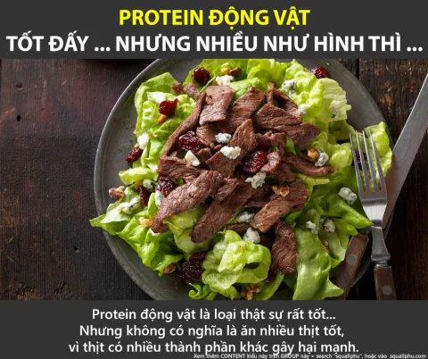 Tiêu thụ thịt, hấp thụ Protein động vật, cái tốt & xấu của nó